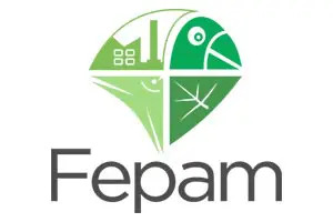 logo-fepam